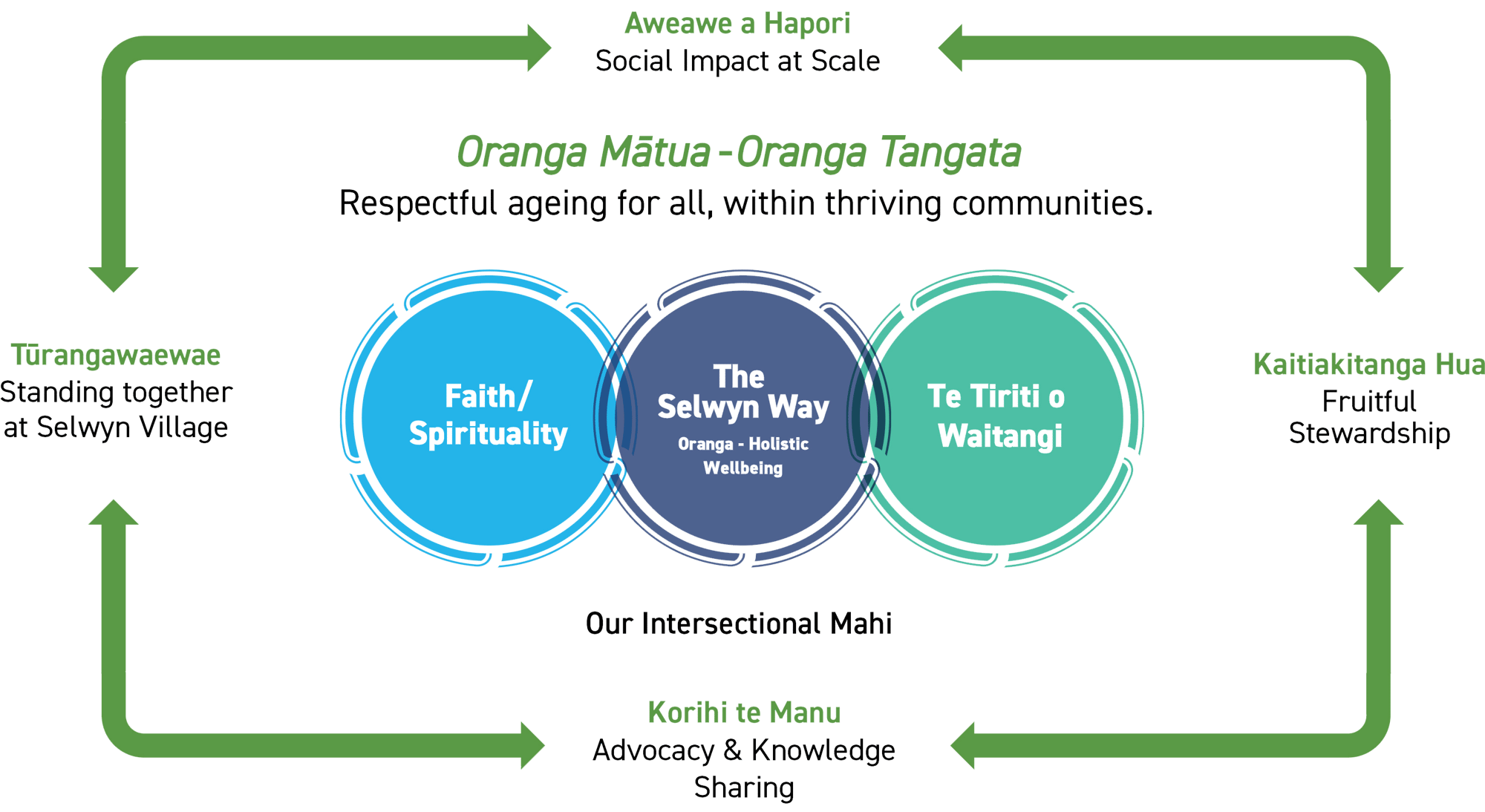 TSF Strategy Infographic 2025