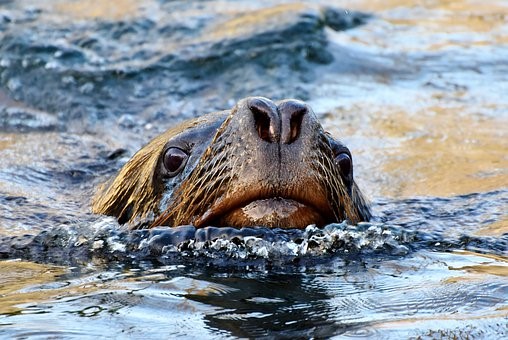 Resilience Will Help You Bounce Back From Lifes Inevitable - 