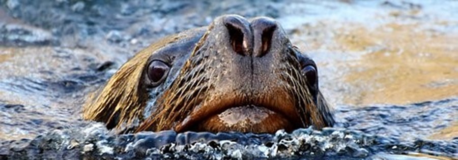 Resilience Will Help You Bounce Back From Lifes Inevitable -